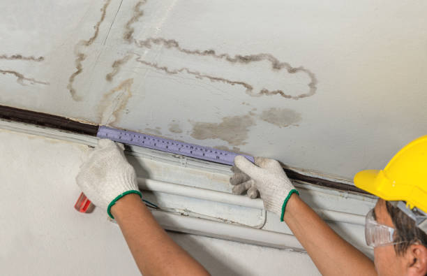 Reliable Water Damage contractor in McGuffey, OH by Water Damage Irwin